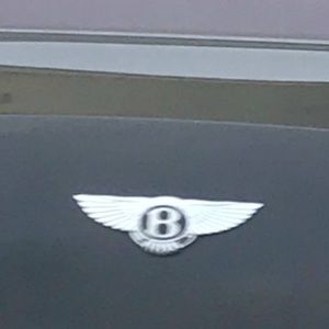 Meet your Posher, Harrison